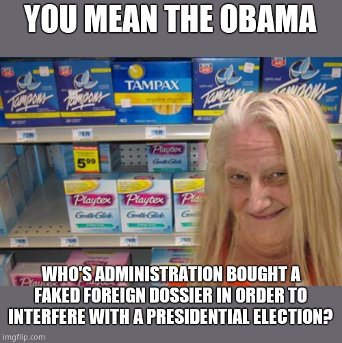 tampon girl  | YOU MEAN THE OBAMA WHO'S ADMINISTRATION BOUGHT A FAKED FOREIGN DOSSIER IN ORDER TO INTERFERE WITH A PRESIDENTIAL ELECTION? | image tagged in tampon girl | made w/ Imgflip meme maker