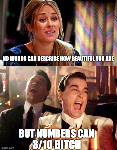 NO WORDS CAN DESCRIBE HOW BEAUTIFUL YOU ARE; BUT NUMBERS CAN; 3/10 BITCH | image tagged in memes,good fellas hilarious | made w/ Imgflip meme maker