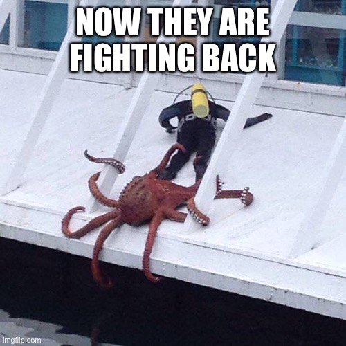 octopus | NOW THEY ARE FIGHTING BACK | image tagged in octopus | made w/ Imgflip meme maker
