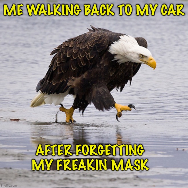 Ugh | ME WALKING BACK TO MY CAR; AFTER FORGETTING MY FREAKIN MASK | image tagged in maga,ConservativeMemes | made w/ Imgflip meme maker