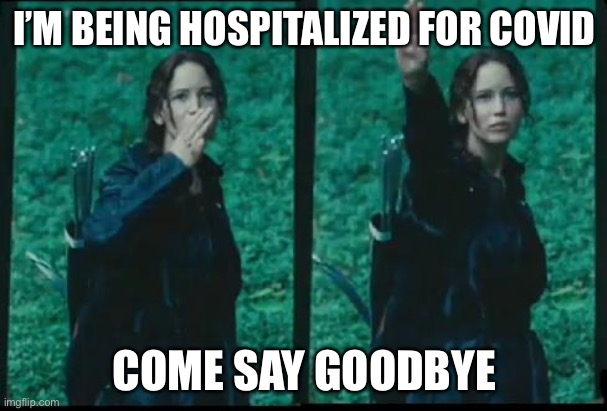 Katniss Respect | I’M BEING HOSPITALIZED FOR COVID; COME SAY GOODBYE | image tagged in katniss respect | made w/ Imgflip meme maker