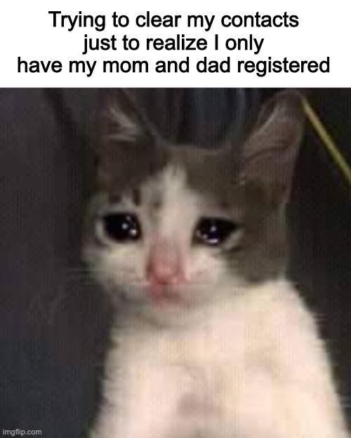 When you have -1 contacts | Trying to clear my contacts just to realize I only have my mom and dad registered | image tagged in crying cat,relatable | made w/ Imgflip meme maker