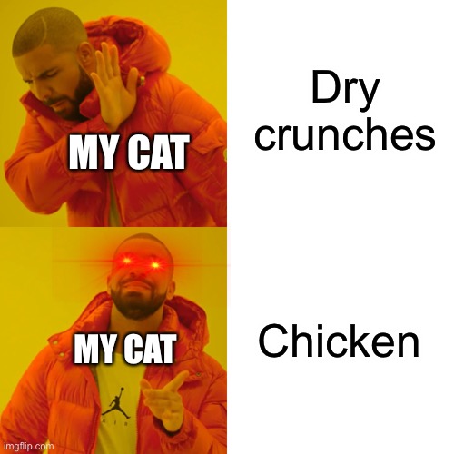 Drake Hotline Bling | Dry crunches; MY CAT; Chicken; MY CAT | image tagged in memes,drake hotline bling | made w/ Imgflip meme maker