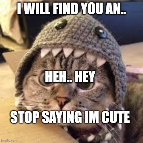I AM NOT ADORABLE | I WILL FIND YOU AN.. HEH.. HEY; STOP SAYING IM CUTE | image tagged in cat | made w/ Imgflip meme maker