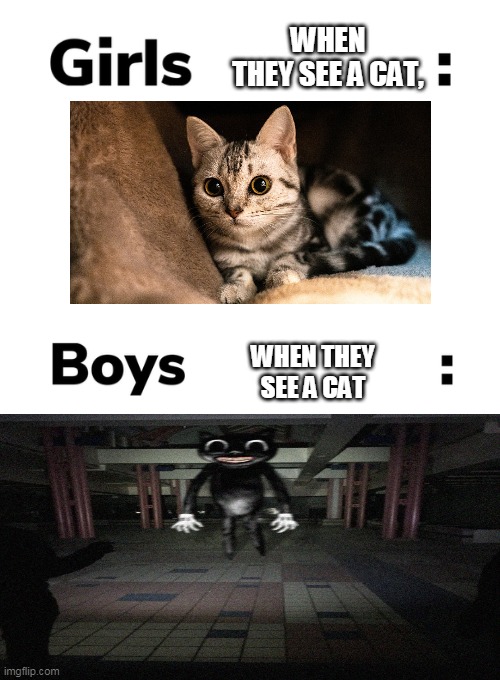 Boys vs girls | WHEN THEY SEE A CAT, WHEN THEY SEE A CAT | image tagged in boys vs girls | made w/ Imgflip meme maker