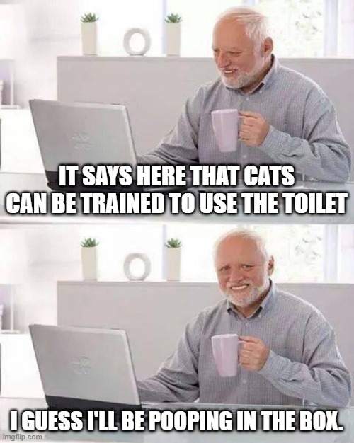 Hide the Pain Harold | IT SAYS HERE THAT CATS CAN BE TRAINED TO USE THE TOILET; I GUESS I'LL BE POOPING IN THE BOX. | image tagged in memes,hide the pain harold | made w/ Imgflip meme maker