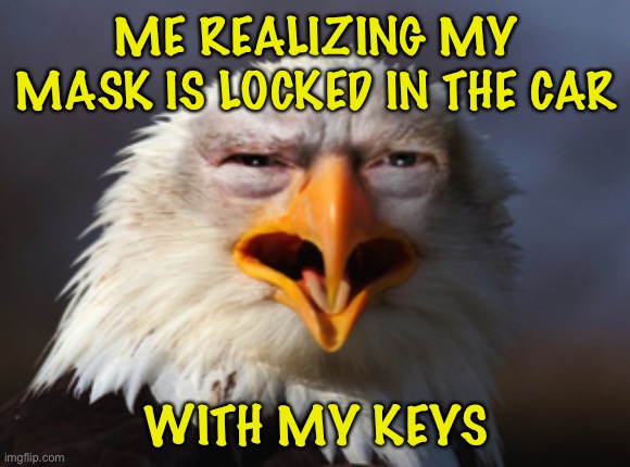 Angry Eagle Trump | ME REALIZING MY MASK IS LOCKED IN THE CAR WITH MY KEYS | image tagged in angry eagle trump | made w/ Imgflip meme maker