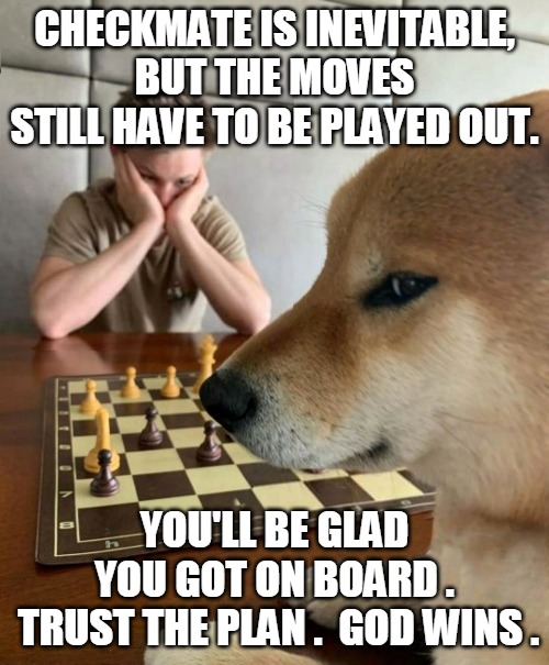 Checkmate is Inevitable | CHECKMATE IS INEVITABLE,
BUT THE MOVES STILL HAVE TO BE PLAYED OUT. YOU'LL BE GLAD
YOU GOT ON BOARD .
 TRUST THE PLAN .  GOD WINS . | image tagged in checkmate,chess,play,trust,god,win | made w/ Imgflip meme maker