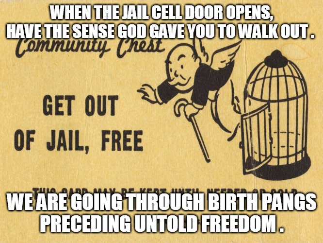 Get Out of Jail | WHEN THE JAIL CELL DOOR OPENS, HAVE THE SENSE GOD GAVE YOU TO WALK OUT . WE ARE GOING THROUGH BIRTH PANGS
PRECEDING UNTOLD FREEDOM . | image tagged in jail,cell,walk out,sense,birth pangs,freedom | made w/ Imgflip meme maker