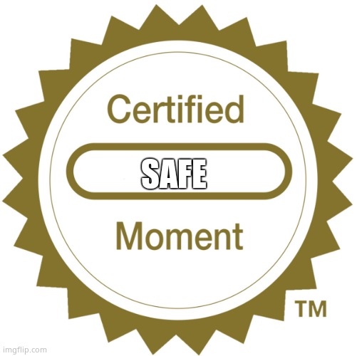 Certified Moment | SAFE | image tagged in certified moment | made w/ Imgflip meme maker