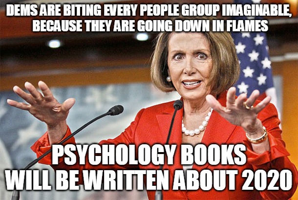 Dems are Biting | DEMS ARE BITING EVERY PEOPLE GROUP IMAGINABLE,
 BECAUSE THEY ARE GOING DOWN IN FLAMES; PSYCHOLOGY BOOKS WILL BE WRITTEN ABOUT 2020 | image tagged in democrat,flame,psychology,2020,pelosi,shumer | made w/ Imgflip meme maker