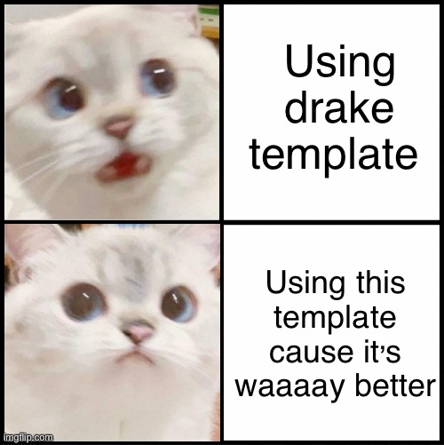 Ok. I hate this kind of uSiNG dRAkE TeMpLATe meme but, this is great | Using drake template; Using this template cause it’s waaaay better | image tagged in cute white cat template,cute cat,cute,drake meme,kitten,cats | made w/ Imgflip meme maker