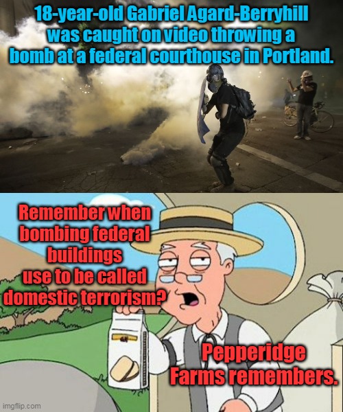 When is "enough is enough?" | 18-year-old Gabriel Agard-Berryhill was caught on video throwing a bomb at a federal courthouse in Portland. Remember when bombing federal buildings use to be called domestic terrorism? Pepperidge Farms remembers. | image tagged in domestic terrorism,antifa,blm,bomb,liberals,democrats | made w/ Imgflip meme maker