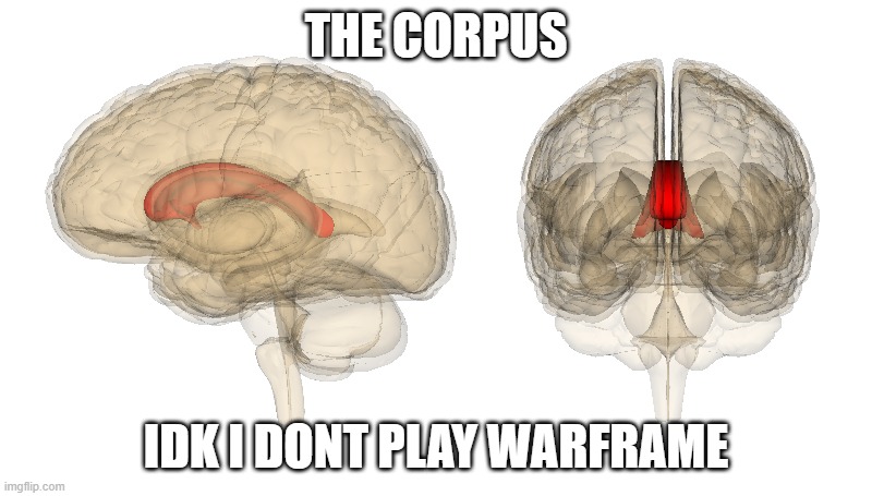 whe | THE CORPUS; IDK I DONT PLAY WARFRAME | image tagged in video games | made w/ Imgflip meme maker