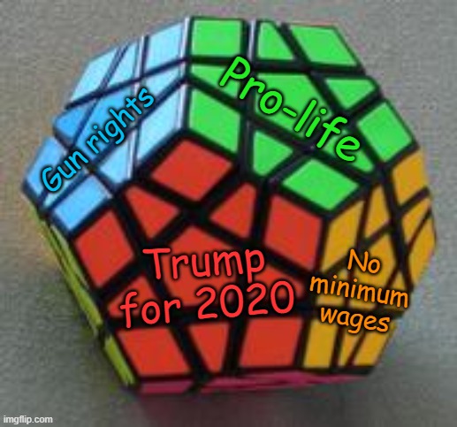 The Best Solved Puzzle, That is, the USA | Pro-life; Gun rights; Trump for 2020; No minimum wages | image tagged in megaminx,political meme,pro-life,gun rights,minimum wage,usa | made w/ Imgflip meme maker