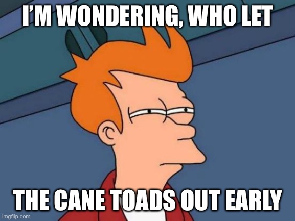 Early release | I’M WONDERING, WHO LET; THE CANE TOADS OUT EARLY | image tagged in memes,futurama fry | made w/ Imgflip meme maker