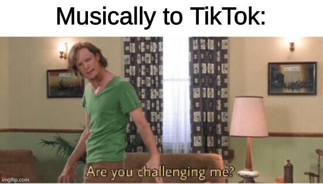 are you challenging me | Musically to TikTok: | image tagged in are you challenging me | made w/ Imgflip meme maker