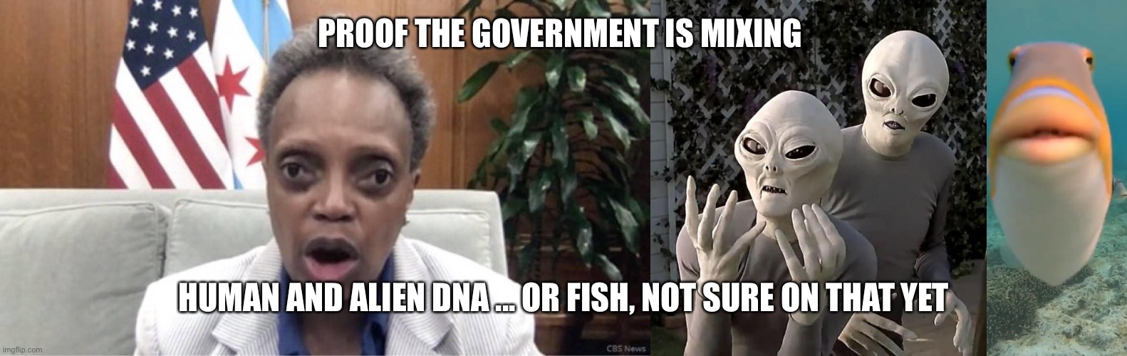 PROOF THE GOVERNMENT IS MIXING; HUMAN AND ALIEN DNA ... OR FISH, NOT SURE ON THAT YET | image tagged in aliens,staring fish,mayor lori lightfoot | made w/ Imgflip meme maker