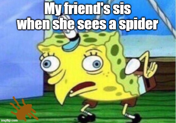 Mocking Spongebob Meme | My friend's sis when she sees a spider | image tagged in memes,mocking spongebob | made w/ Imgflip meme maker