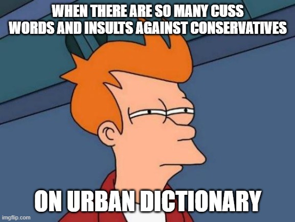 When the cussing begins on Urban | WHEN THERE ARE SO MANY CUSS WORDS AND INSULTS AGAINST CONSERVATIVES; ON URBAN DICTIONARY | image tagged in memes,futurama fry,urban dictionary,cussing | made w/ Imgflip meme maker