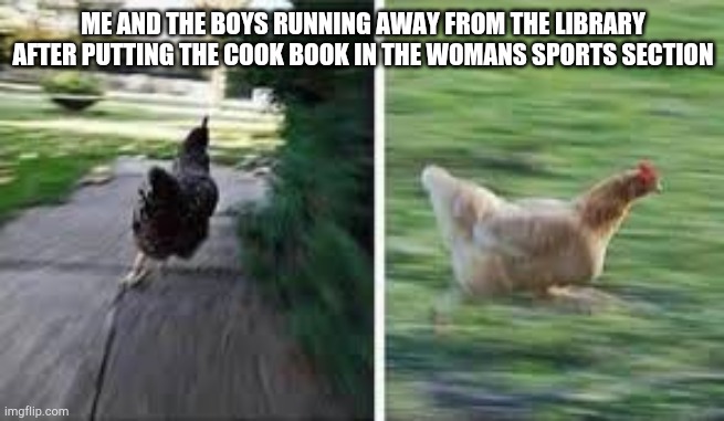 running chicken | ME AND THE BOYS RUNNING AWAY FROM THE LIBRARY AFTER PUTTING THE COOK BOOK IN THE WOMANS SPORTS SECTION | image tagged in running chicken,running away,funnymemes | made w/ Imgflip meme maker