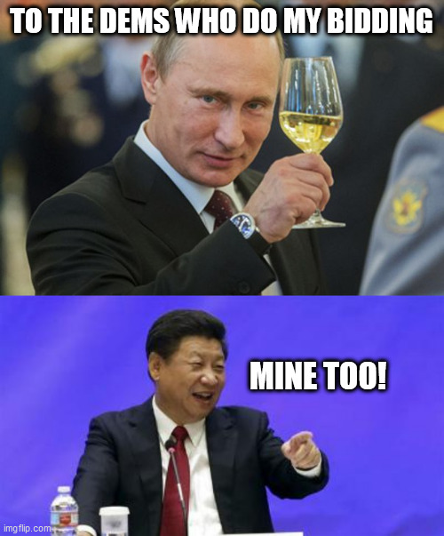 TO THE DEMS WHO DO MY BIDDING; MINE TOO! | image tagged in putin cheers,xi jinping laughing | made w/ Imgflip meme maker