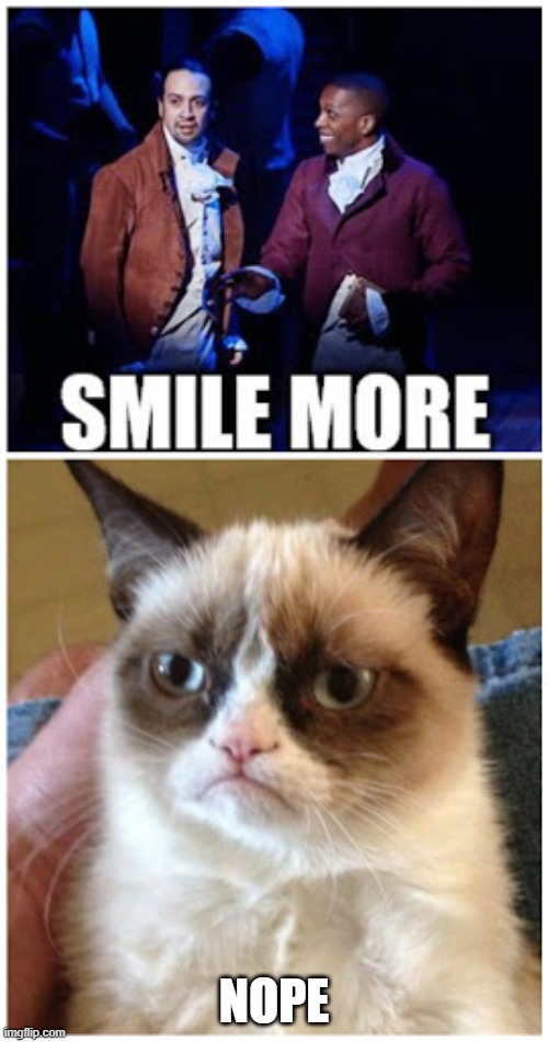 dang it! i was going to make this meme & just found it!!! | NOPE | image tagged in memes,funny,repost,hamilton,cats,grumpy cat | made w/ Imgflip meme maker