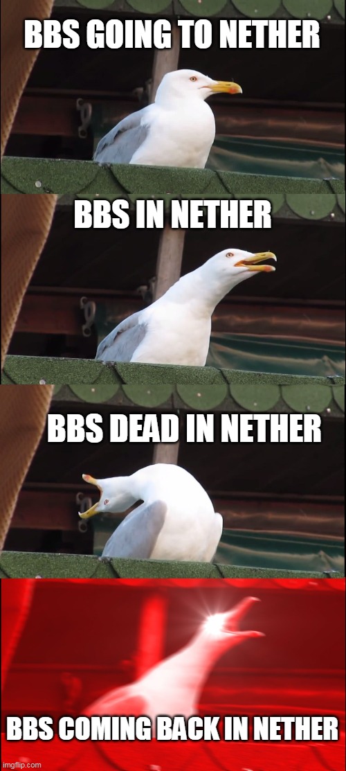 bbs | BBS GOING TO NETHER; BBS IN NETHER; BBS DEAD IN NETHER; BBS COMING BACK IN NETHER | image tagged in memes,inhaling seagull | made w/ Imgflip meme maker