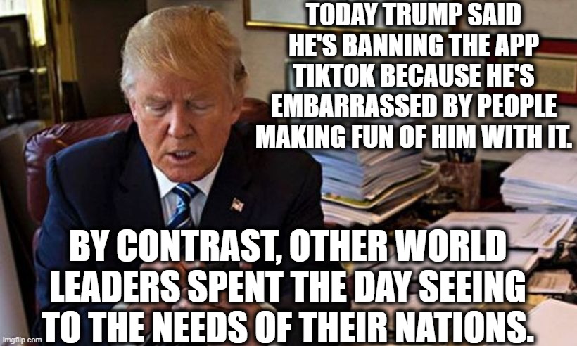 He has no idea what he's doing. | TODAY TRUMP SAID HE'S BANNING THE APP TIKTOK BECAUSE HE'S EMBARRASSED BY PEOPLE MAKING FUN OF HIM WITH IT. BY CONTRAST, OTHER WORLD LEADERS SPENT THE DAY SEEING TO THE NEEDS OF THEIR NATIONS. | image tagged in donald trump,tiktok,embarrassing,stupid,traitor,moron | made w/ Imgflip meme maker