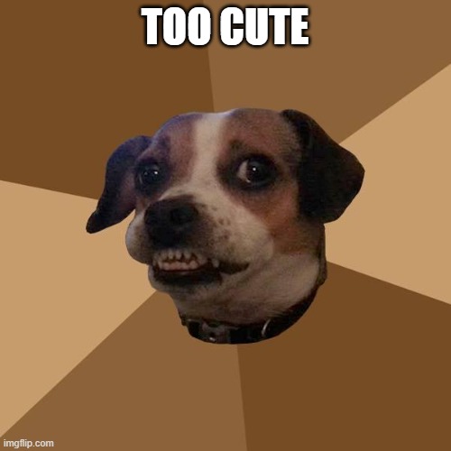 Too Cute to Hate Pup | TOO CUTE | image tagged in too cute to hate pup | made w/ Imgflip meme maker