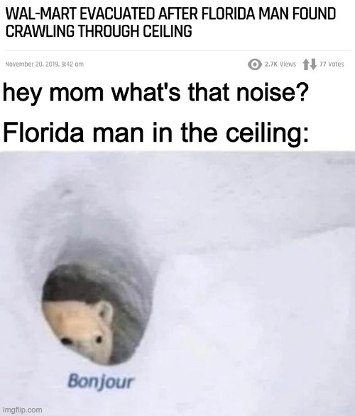 Imagine seeing  someone get snatched up into the ceiling at wal-mart |  hey mom what's that noise? Florida man in the ceiling: | image tagged in bonjour,florida man,meanwhile in florida | made w/ Imgflip meme maker