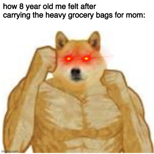 Real good boys do it in 1 trip | how 8 year old me felt after carrying the heavy grocery bags for mom: | image tagged in buff doge | made w/ Imgflip meme maker