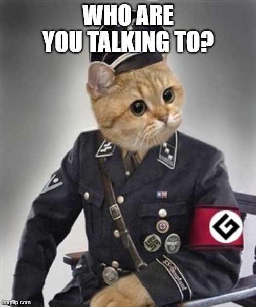 Grammar Nazi Cat | WHO ARE YOU TALKING TO? | image tagged in grammar nazi cat,cat memes,shut up,cat meme,cats | made w/ Imgflip meme maker