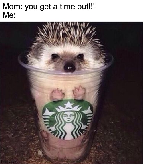 EEEEEEEEEEEEEEEEEEEEEEEEEEEEEEEEEEEEEEEEEEEEEEEEEEEEEEEEEEEEEEEEEEEEEEEEEEEEEEEEEEEEEEEEEEEEEEEEEEEEEEEEEEEEEEEEEEEEEEEEEEEEEEEE | Mom: you get a time out!!!
Me: | image tagged in starbucks' hedgehog,memes,funny,time out,hedgehogs,hedgehog | made w/ Imgflip meme maker