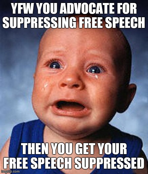 Crying baby  | YFW YOU ADVOCATE FOR SUPPRESSING FREE SPEECH THEN YOU GET YOUR FREE SPEECH SUPPRESSED | image tagged in crying baby | made w/ Imgflip meme maker