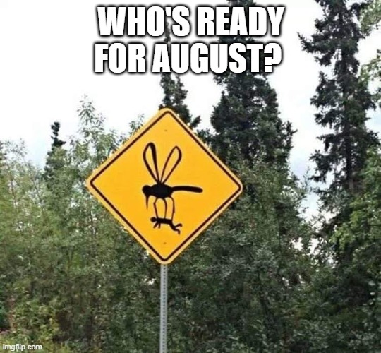 Happy August! | WHO'S READY FOR AUGUST? | image tagged in august,bees | made w/ Imgflip meme maker