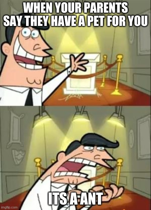This Is Where I'd Put My Trophy If I Had One | WHEN YOUR PARENTS SAY THEY HAVE A PET FOR YOU; ITS A ANT | image tagged in memes,this is where i'd put my trophy if i had one | made w/ Imgflip meme maker