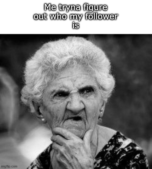 who is my follower? | Me tryna figure
out who my follower
is | image tagged in confused old lady | made w/ Imgflip meme maker