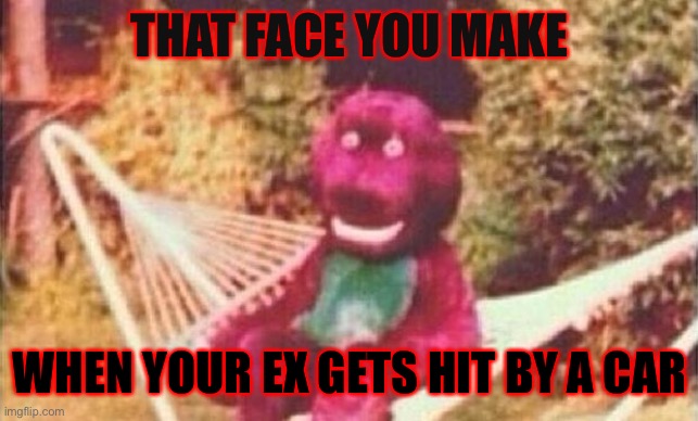 Exes suck | THAT FACE YOU MAKE; WHEN YOUR EX GETS HIT BY A CAR | image tagged in ex girlfriend | made w/ Imgflip meme maker