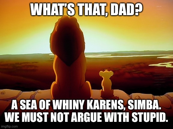 Lion King | WHAT’S THAT, DAD? A SEA OF WHINY KARENS, SIMBA. WE MUST NOT ARGUE WITH STUPID. | image tagged in memes,lion king | made w/ Imgflip meme maker