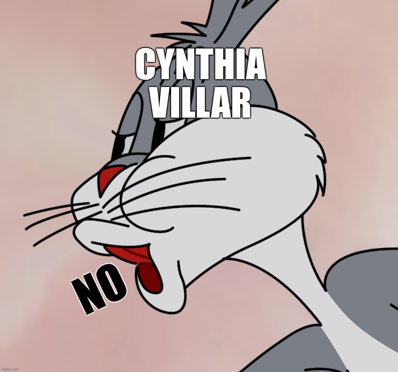 Cynthia Villar | CYNTHIA VILLAR; NO | image tagged in bugs bunny no | made w/ Imgflip meme maker