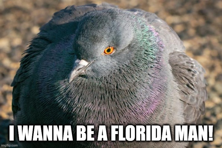 I WANNA BE A FLORIDA MAN! | made w/ Imgflip meme maker