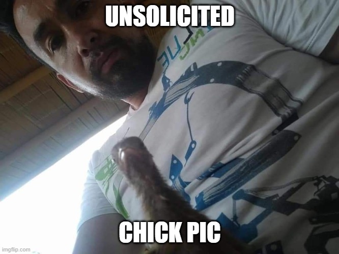 Unsolicited Chick Pic | UNSOLICITED; CHICK PIC | image tagged in chick pic | made w/ Imgflip meme maker