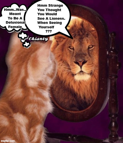 Female? | 𝓒𝓱𝓲𝓪𝓷𝓽𝔂; Hmm Strange
You Thought 
You Would
See A Lioness.
When Seeing
 Yourself
       ??? Hmm..Was..
Meant
To Be A
 Delusional
Female | image tagged in strange | made w/ Imgflip meme maker