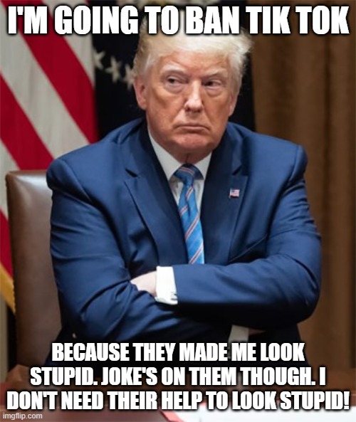 Grumpy Trump | I'M GOING TO BAN TIK TOK; BECAUSE THEY MADE ME LOOK STUPID. JOKE'S ON THEM THOUGH. I DON'T NEED THEIR HELP TO LOOK STUPID! | image tagged in grumpy trump | made w/ Imgflip meme maker