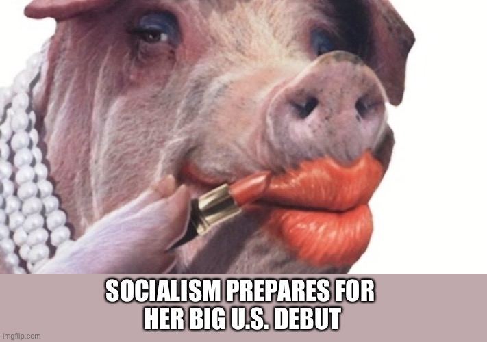 Animal Farm | SOCIALISM PREPARES FOR 
HER BIG U.S. DEBUT | image tagged in george orwell,animal farm,lipstick,pig,socialism | made w/ Imgflip meme maker