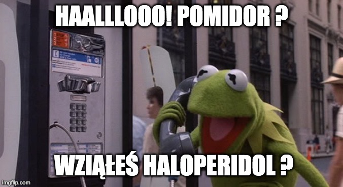 Kermit Phone | HAALLLOOO! POMIDOR ? WZIĄŁEŚ HALOPERIDOL ? | image tagged in kermit phone | made w/ Imgflip meme maker