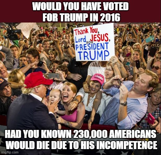 Lord Jesus Is Watching - Vote Your Conscience In 2020 | WOULD YOU HAVE VOTED
 FOR TRUMP IN 2016; HAD YOU KNOWN 230,000 AMERICANS
 WOULD DIE DUE TO HIS INCOMPETENCE | image tagged in donald trump is an idiot,election 2020,vote,covid19,incompetence | made w/ Imgflip meme maker
