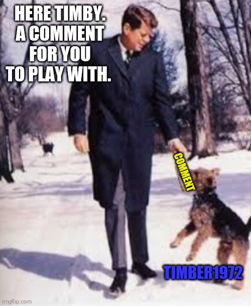 HERE TIMBY. A COMMENT FOR YOU TO PLAY WITH. TIMBER1972 COMMENT | made w/ Imgflip meme maker