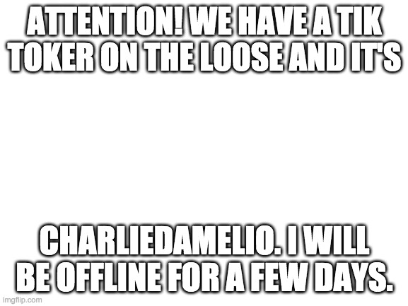 Blank White Template | ATTENTION! WE HAVE A TIK TOKER ON THE LOOSE AND IT'S; CHARLIEDAMELIO. I WILL BE OFFLINE FOR A FEW DAYS. | image tagged in blank white template | made w/ Imgflip meme maker